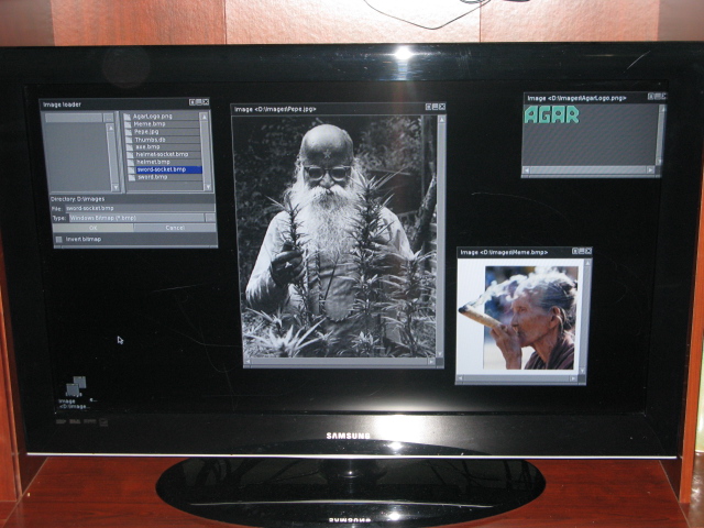 IPB Image